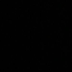 Meet your Posher, Landin